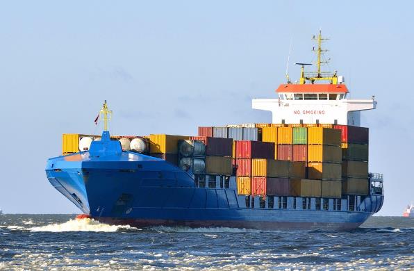散货船海运公司的特点和功能及其在全球经济中的重要作用有哪些？