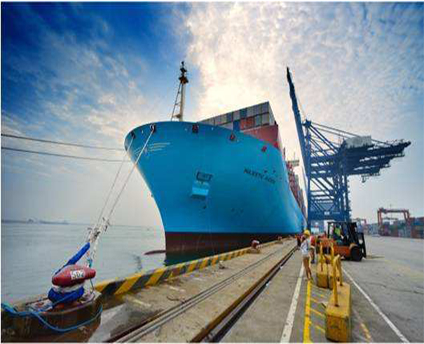 上海到印度—水泥散货船海运