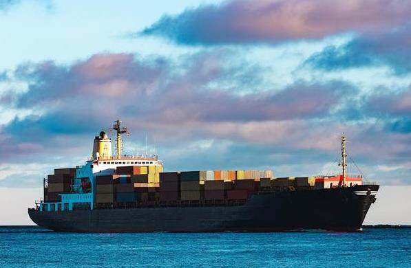 散货船海运公司的规模和效率如何体现?未来的发展路径是什么？