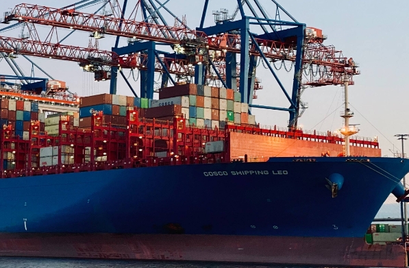 干散货船作为重要的海运方式之一，在国际贸易中扮演着重要的角色