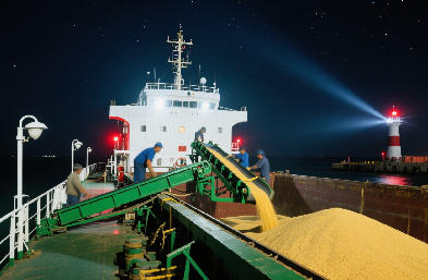 大件杂货、散杂货物，选对杂货船更省心